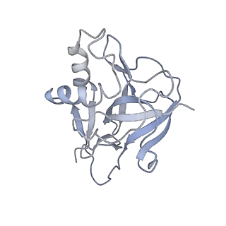 10119_6s8e_W_v1-2
Cryo-EM structure of the type III-B Cmr-beta complex bound to non-cognate target RNA