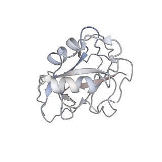 10119_6s8e_X_v1-2
Cryo-EM structure of the type III-B Cmr-beta complex bound to non-cognate target RNA