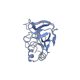 10119_6s8e_l_v1-2
Cryo-EM structure of the type III-B Cmr-beta complex bound to non-cognate target RNA