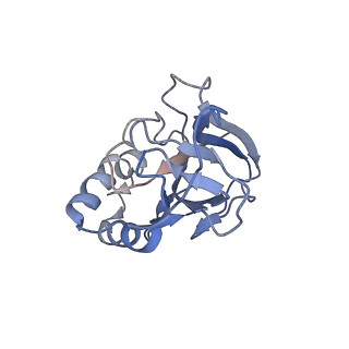 10119_6s8e_m_v1-2
Cryo-EM structure of the type III-B Cmr-beta complex bound to non-cognate target RNA