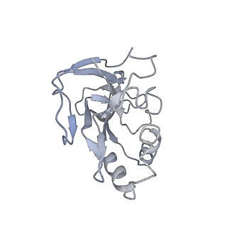 10119_6s8e_n_v1-2
Cryo-EM structure of the type III-B Cmr-beta complex bound to non-cognate target RNA