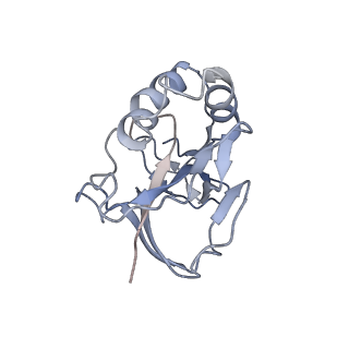 10119_6s8e_o_v1-2
Cryo-EM structure of the type III-B Cmr-beta complex bound to non-cognate target RNA
