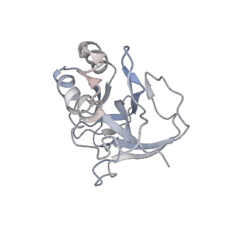 10119_6s8e_p_v1-2
Cryo-EM structure of the type III-B Cmr-beta complex bound to non-cognate target RNA