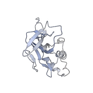 10119_6s8e_s_v1-2
Cryo-EM structure of the type III-B Cmr-beta complex bound to non-cognate target RNA