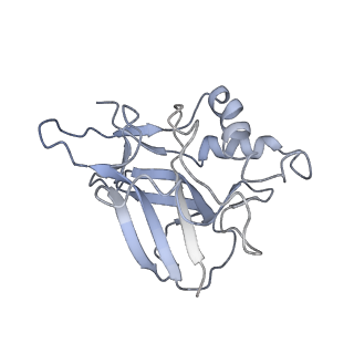 10119_6s8e_t_v1-2
Cryo-EM structure of the type III-B Cmr-beta complex bound to non-cognate target RNA