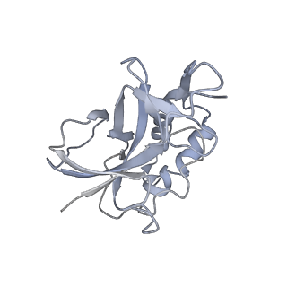 10119_6s8e_w_v1-2
Cryo-EM structure of the type III-B Cmr-beta complex bound to non-cognate target RNA