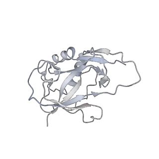10119_6s8e_x_v1-2
Cryo-EM structure of the type III-B Cmr-beta complex bound to non-cognate target RNA