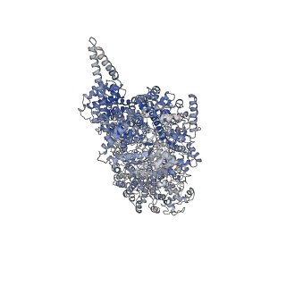 10120_6s8f_F_v1-2
Structure of nucleotide-bound Tel1/ATM
