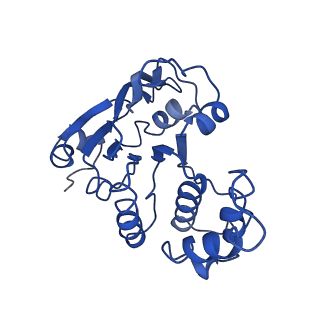 10121_6s8g_B_v1-0
Cryo-EM structure of LptB2FGC in complex with AMP-PNP