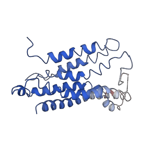 10121_6s8g_F_v1-0
Cryo-EM structure of LptB2FGC in complex with AMP-PNP