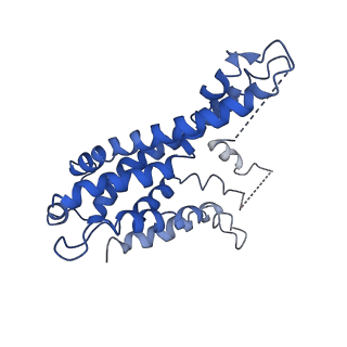 10121_6s8g_G_v1-0
Cryo-EM structure of LptB2FGC in complex with AMP-PNP