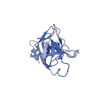 10123_6s8i_A_v1-2
Structure of ZEBOV GP in complex with 3T0265 antibody