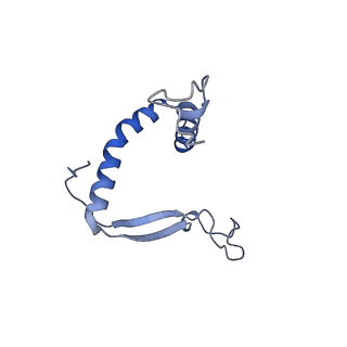 10123_6s8i_B_v1-2
Structure of ZEBOV GP in complex with 3T0265 antibody