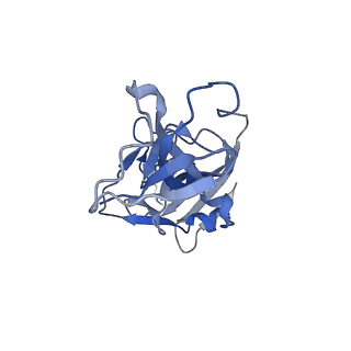 10123_6s8i_C_v1-2
Structure of ZEBOV GP in complex with 3T0265 antibody