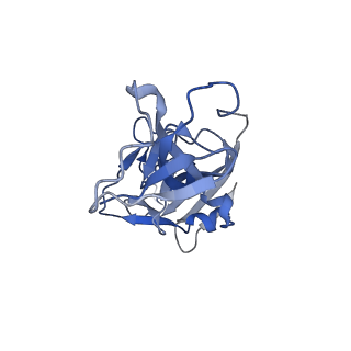 10123_6s8i_C_v2-0
Structure of ZEBOV GP in complex with 3T0265 antibody