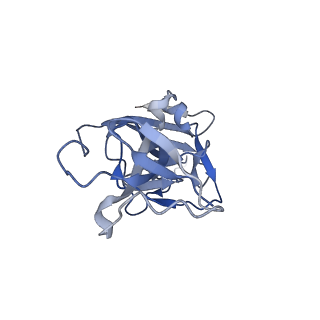 10123_6s8i_E_v1-2
Structure of ZEBOV GP in complex with 3T0265 antibody