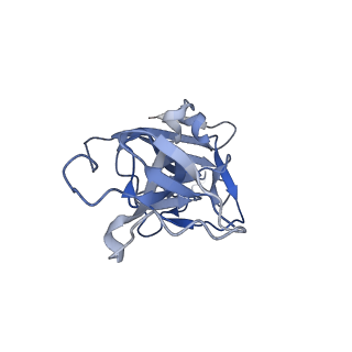 10123_6s8i_E_v2-0
Structure of ZEBOV GP in complex with 3T0265 antibody