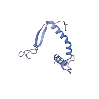 10123_6s8i_F_v1-2
Structure of ZEBOV GP in complex with 3T0265 antibody
