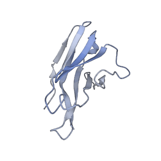 10123_6s8i_L_v1-2
Structure of ZEBOV GP in complex with 3T0265 antibody