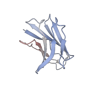 10123_6s8i_P_v1-2
Structure of ZEBOV GP in complex with 3T0265 antibody