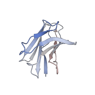 10123_6s8i_Y_v1-2
Structure of ZEBOV GP in complex with 3T0265 antibody