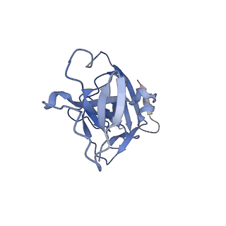 10124_6s8j_C_v1-2
Structure of ZEBOV GP in complex with 5T0180 antibody
