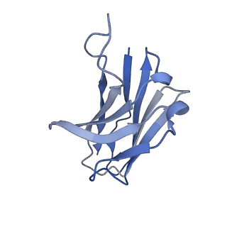 10124_6s8j_H_v1-2
Structure of ZEBOV GP in complex with 5T0180 antibody