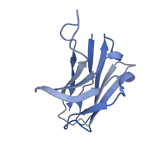 10124_6s8j_H_v2-0
Structure of ZEBOV GP in complex with 5T0180 antibody
