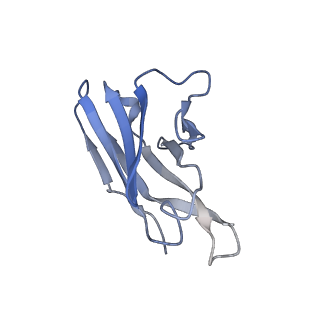 10124_6s8j_L_v1-2
Structure of ZEBOV GP in complex with 5T0180 antibody