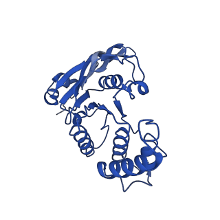 10125_6s8n_B_v1-0
Cryo-EM structure of LptB2FGC in complex with lipopolysaccharide