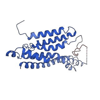 10125_6s8n_F_v1-0
Cryo-EM structure of LptB2FGC in complex with lipopolysaccharide
