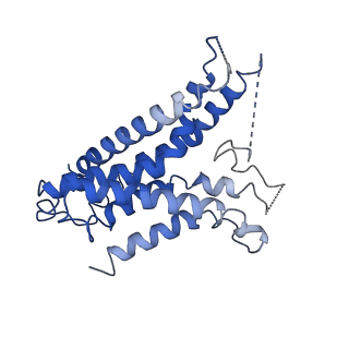 10125_6s8n_G_v1-0
Cryo-EM structure of LptB2FGC in complex with lipopolysaccharide