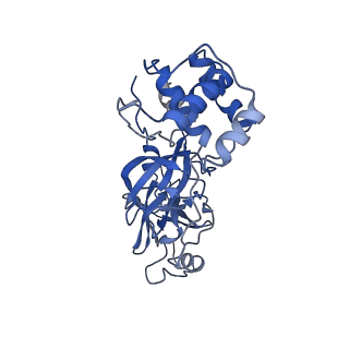 24889_7s82_A_v1-0
Cryo-EM structure of SARS-CoV-2 Main protease C145S in complex with N-terminal peptide
