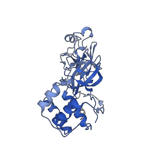 24889_7s82_B_v1-0
Cryo-EM structure of SARS-CoV-2 Main protease C145S in complex with N-terminal peptide