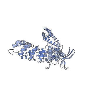 24890_7s88_A_v1-0
Open apo-state cryo-EM structure of human TRPV6 in glyco-diosgenin detergent