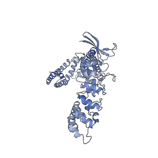 24890_7s88_B_v1-0
Open apo-state cryo-EM structure of human TRPV6 in glyco-diosgenin detergent