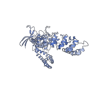 24890_7s88_C_v1-0
Open apo-state cryo-EM structure of human TRPV6 in glyco-diosgenin detergent
