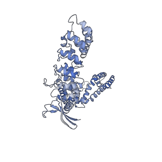 24890_7s88_D_v1-0
Open apo-state cryo-EM structure of human TRPV6 in glyco-diosgenin detergent