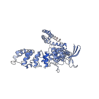 24891_7s89_A_v1-0
Open apo-state cryo-EM structure of human TRPV6 in cNW11 nanodiscs