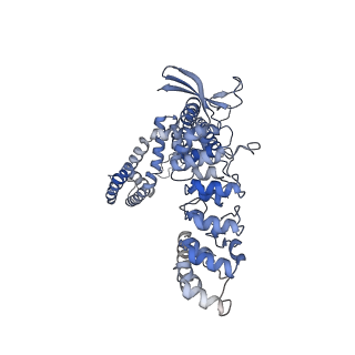 24891_7s89_B_v1-0
Open apo-state cryo-EM structure of human TRPV6 in cNW11 nanodiscs