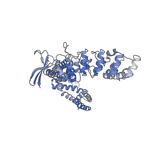 24891_7s89_C_v1-0
Open apo-state cryo-EM structure of human TRPV6 in cNW11 nanodiscs