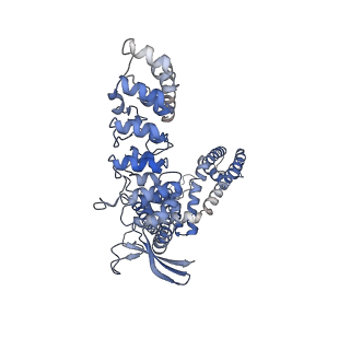 24891_7s89_D_v1-0
Open apo-state cryo-EM structure of human TRPV6 in cNW11 nanodiscs