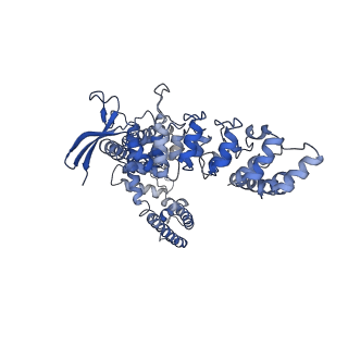 24893_7s8c_C_v1-0
Cryo-EM structure of human TRPV6 in complex with inhibitor econazole