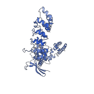 24893_7s8c_D_v1-0
Cryo-EM structure of human TRPV6 in complex with inhibitor econazole