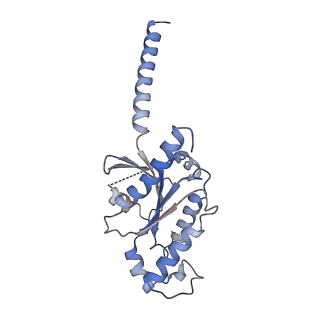 24897_7s8m_B_v1-2
CryoEM structure of Gi-coupled MRGPRX2 with peptide agonist Cortistatin-14