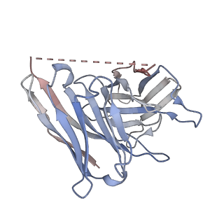 24897_7s8m_E_v1-2
CryoEM structure of Gi-coupled MRGPRX2 with peptide agonist Cortistatin-14