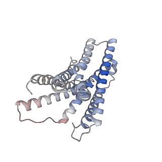 24899_7s8o_R_v1-2
CryoEM structure of Gi-coupled MRGPRX2 with small molecule agonist (R)-Zinc-3573