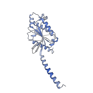 24900_7s8p_B_v1-2
CryoEM structure of Gq-coupled MRGPRX4 with small molecule agonist MS47134
