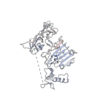 24927_7s8v_B_v1-1
Leg region of a complex of IGF-I with the ectodomain of a hybrid insulin receptor / type 1 insulin-like growth factor receptor