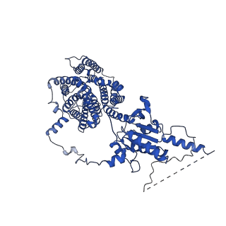24928_7s8x_A_v1-2
Cryo-EM Structure of dolphin Prestin: Sensor Up (compact) state